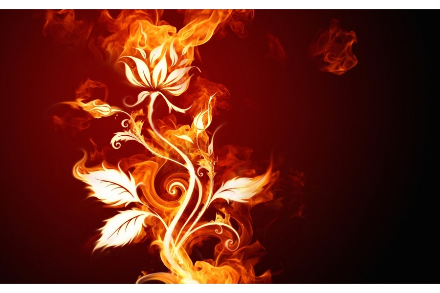 Burning Flower 1280 x 800 widescreen