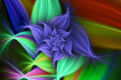 Colourful Flower 1280 x 800 widescreen