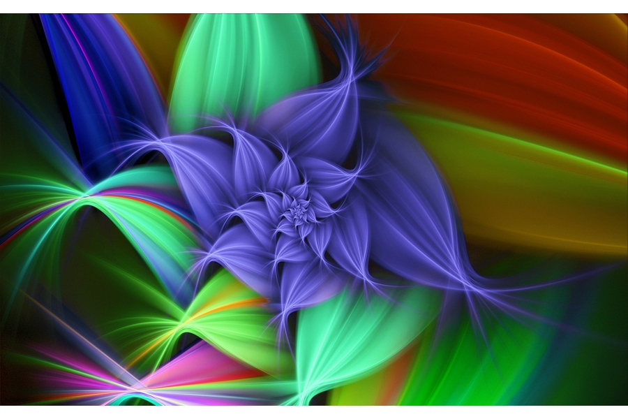 Colourful Flower 1280 x 800 widescreen